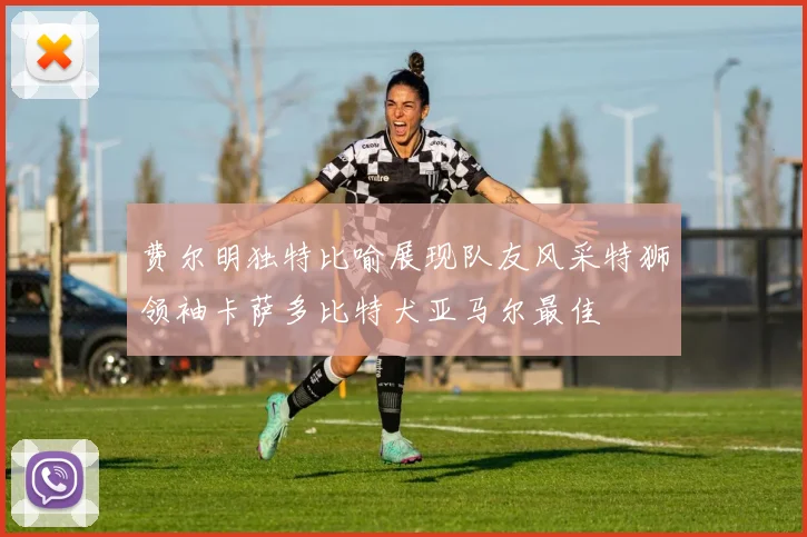 费尔明独特比喻展现队友风采特狮领袖卡萨多比特犬亚马尔最佳