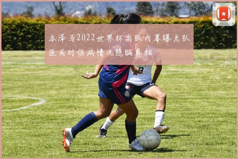 本泽马2022世界杯离队内幕曝光队医或对伤病情况隐瞒真相